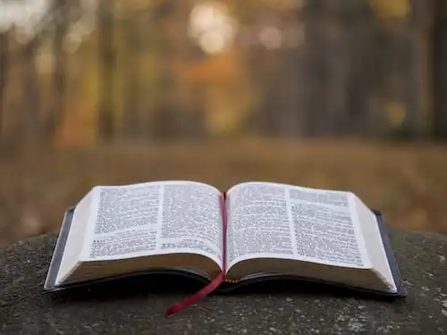 Versículos bíblicos sobre Como Ser Salvo