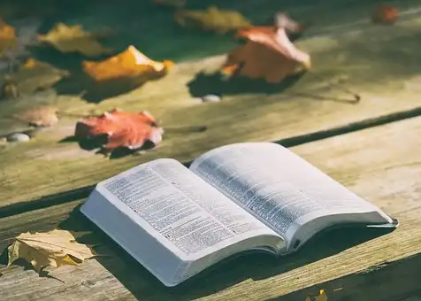 Versículos bíblicos sobre Conhecimento