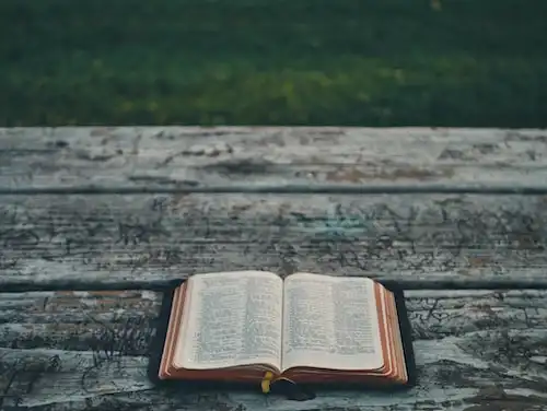 Versículos bíblicos sobre Deixando Deus conduzir sua vida