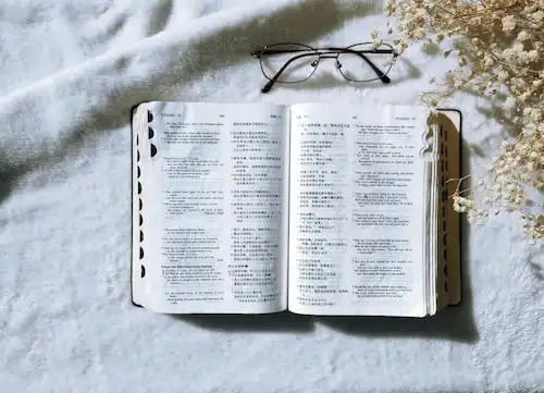 Versículos bíblicos sobre Fruto do Espírito
