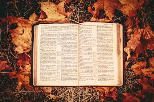 Versículos bíblicos sobre Frutos do Espírito Santo