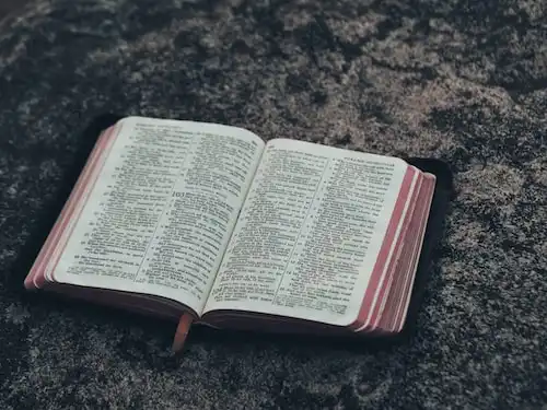 Versículos bíblicos sobre Inspirando para novos crentes