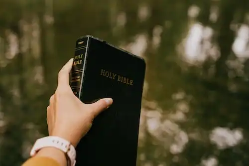 25 Versículos da Bíblia sobre Dar 