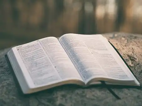 Versículos bíblicos sobre Liderança da Igreja