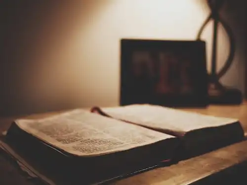 Versículos bíblicos sobre Obediência e Entrega