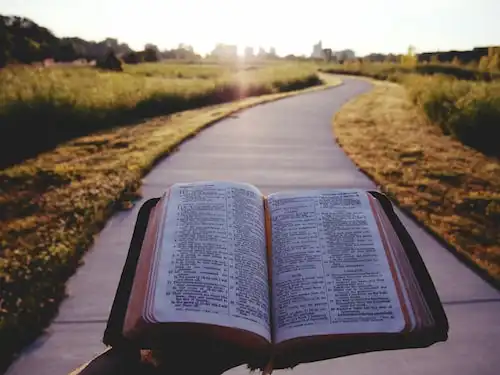 Versículos bíblicos sobre Perseverando na fé