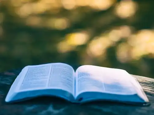 Versículos bíblicos sobre Vivendo uma Vida Divina